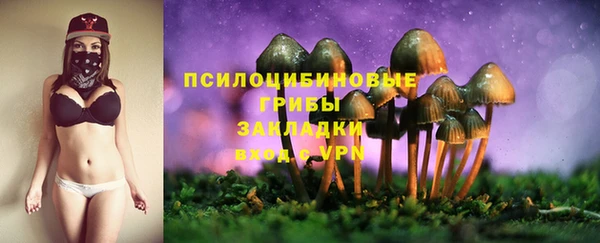 а пвп мука Армянск